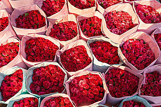玫瑰,出售,花市,靠近,唐人街,曼谷,泰国
