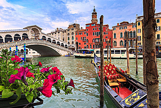 花,远眺,大运河,小船,雷雅托桥,背景,威尼斯,威尼托,意大利