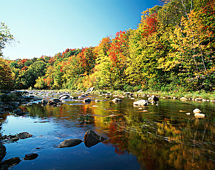 美国,佛蒙特州,秋天,树,反射,河,大幅,尺寸