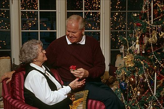 祖父母,交换,礼物,树,圣诞节,冬天