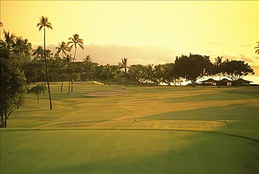夏威夷,毛伊岛,皇家,高尔夫球场,北方,场地
