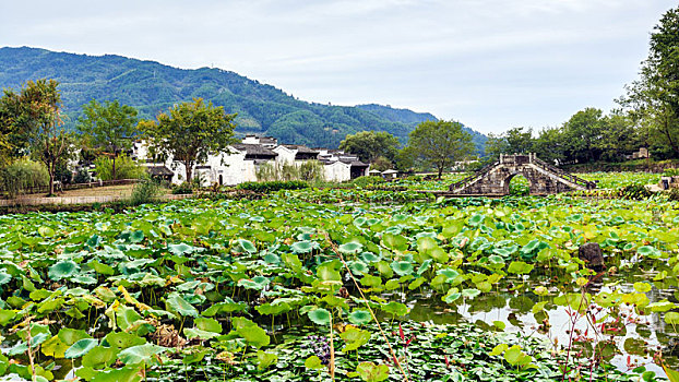 呈坎古村落,中国安徽省黄山市徽州区