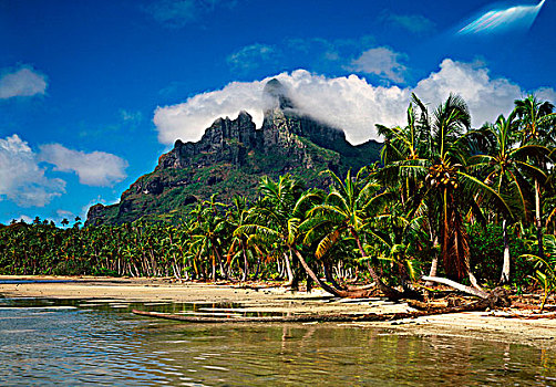 塔希提岛,波拉岛,自然风光,热带沙滩,山,背景