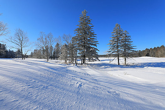 老里克湖冰雪风光