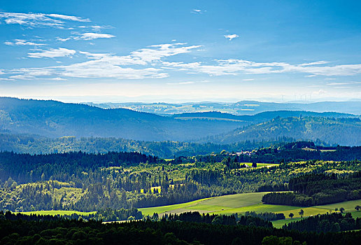 风景,靠近,森林,树林,上弗兰科尼亚,弗兰克尼亚,巴伐利亚,德国
