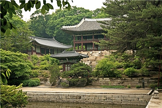 庙宇,湖,树林,首尔,韩国