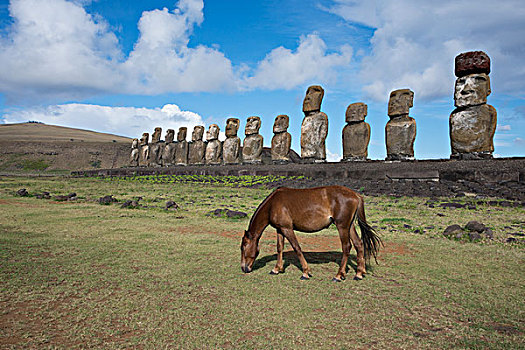 智利,复活节岛,努伊,拉帕努伊国家公园,马,正面,大,雕塑,仪式,玻利尼西亚,大幅,尺寸