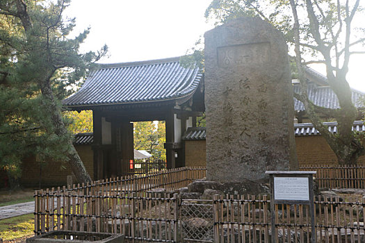 日本,东大寺