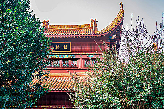 湖南长沙古开福寺－佛殿,钟鼓楼,古银杏,佛塔