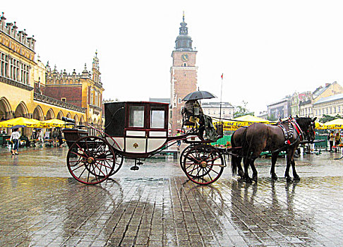 波兰,克拉科夫,市场,马车,雨