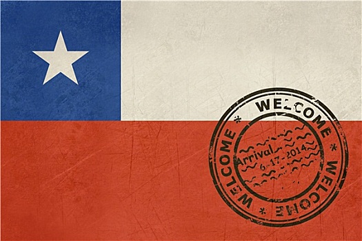 欢迎,智利,旗帜,护照