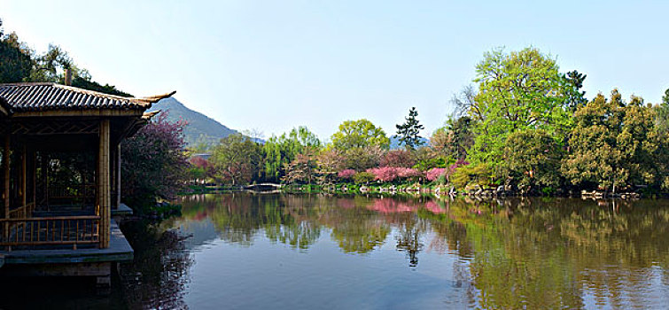 西湖十景,花港观鱼