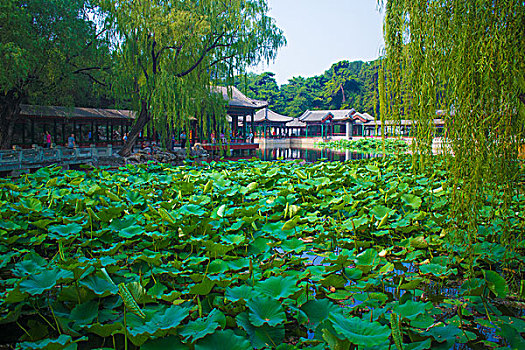 颐和园