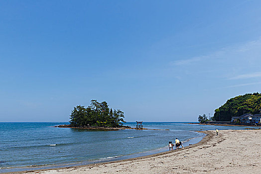 春天,海岸,石川,日本