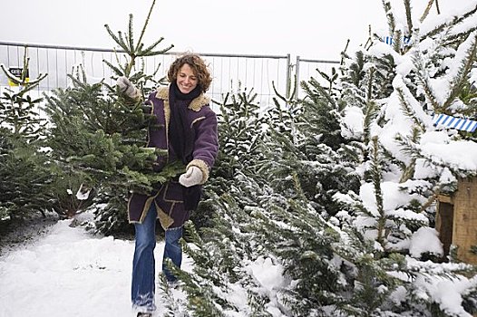 女人,买,圣诞树,萨尔茨堡,奥地利