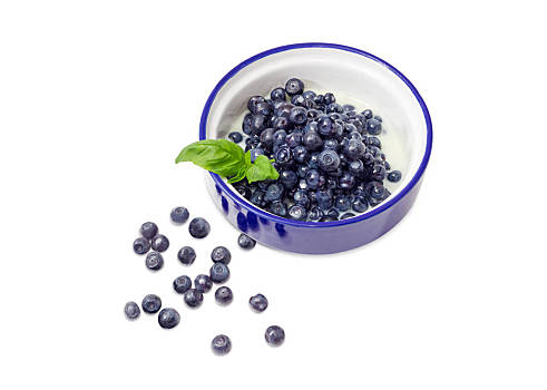 蓝莓甜点,加糖,新鲜,蓝莓,奶粉,蓝色,碗,装饰,罗勒,细枝,几个,浆果,旁侧,白色背景