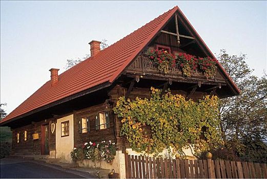 传统,房子,农舍,南方,施蒂里亚,奥地利,欧洲