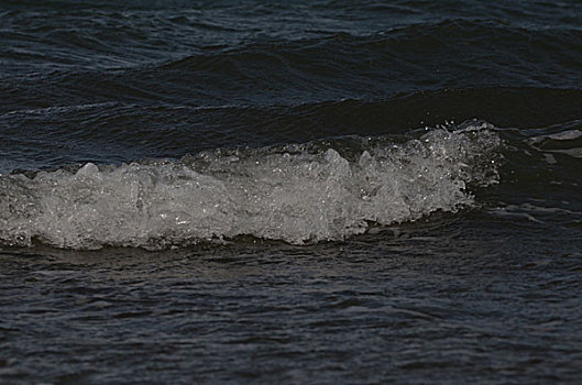 青海湖浪打浪