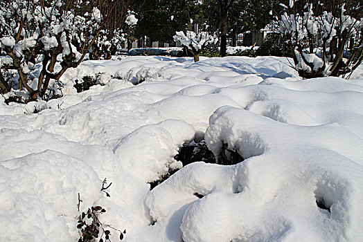 雪景