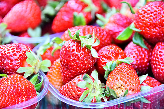 新鲜,草莓,街上,市场货摊