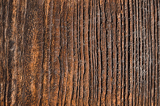 木板,褐色,斑点