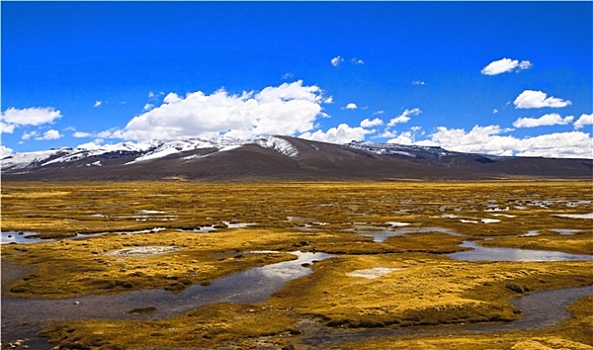 山,玻利维亚