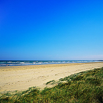海滩,米斯郡,爱尔兰
