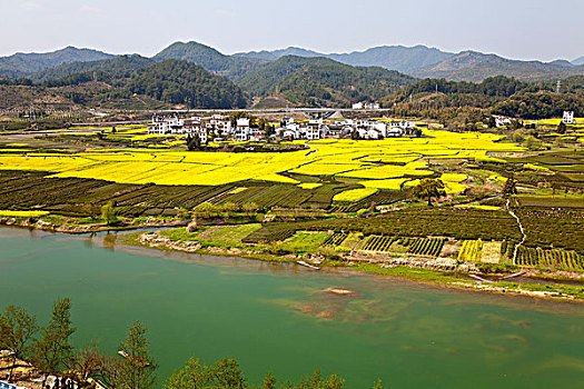 江西婺源,月亮湾,油菜花,徽派建筑,民居