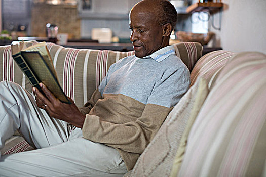 老人,读,书本,放松,沙发,客厅,在家
