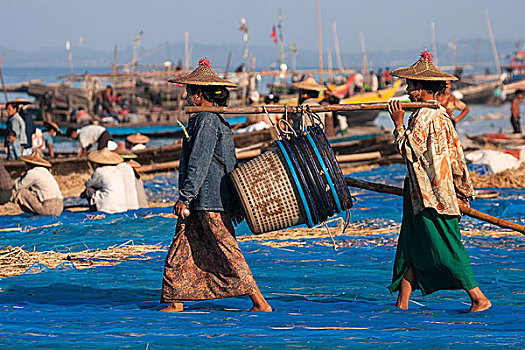 女人,穿,草帽,空,鱼,篮子,海洋,后面,渔船,海滩,渔村,若开邦,缅甸,亚洲