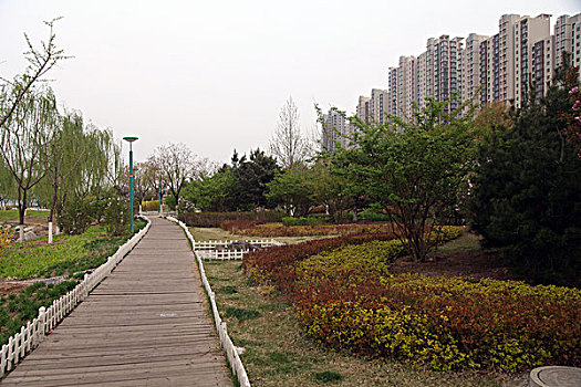 迁西,滦河,公园,河滩,建设,美化,建筑,风光,休闲,水景