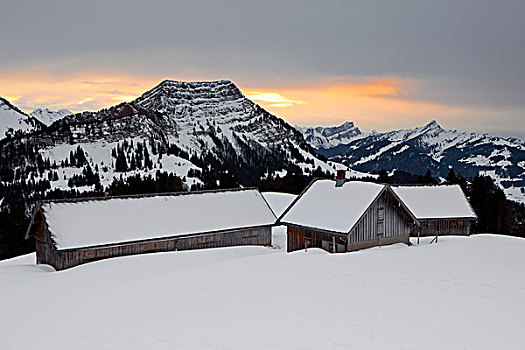积雪,山,草场,山脉,阿尔卑斯山,瑞士,欧洲