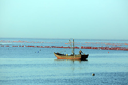 山东省日照市,万亩海洋牧场风景如画,渔民海上养护期待丰收季