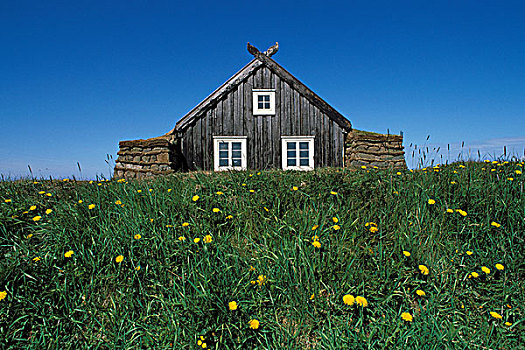 传统,冰岛,房子,草皮,户外,博物馆,雷克雅未克,欧洲