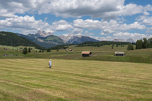 意大利多洛米蒂山脉夏季苏西高原草甸与远处山峰的自然风景,当地居民正在草原上除草