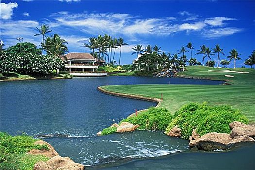 夏威夷,瓦胡岛,高尔夫球杆,洞
