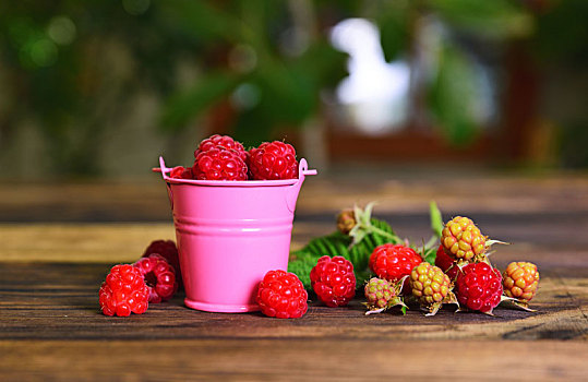 成熟,红色树莓,粉色,金属,桶