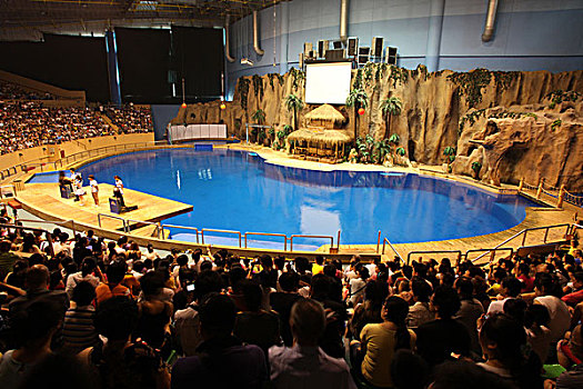 北京海洋馆动物表演