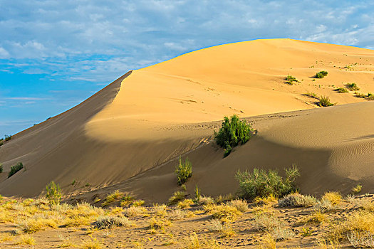 唱,沙丘,国家公园,阿拉木图,区域,哈萨克斯坦,亚洲