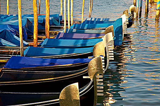 小船,排列,早晨,大运河,威尼斯,威尼托,意大利
