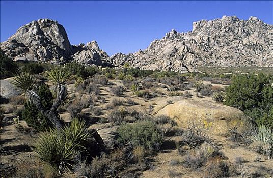 岩石,风景,约书亚树国家公园,加利福尼亚,美国