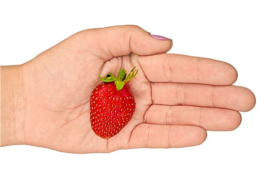草莓,手掌