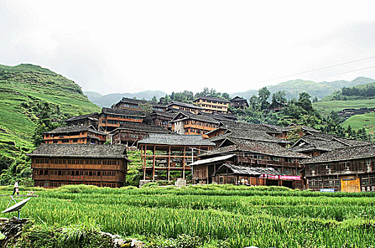 广西龙脊梯田,民族建筑