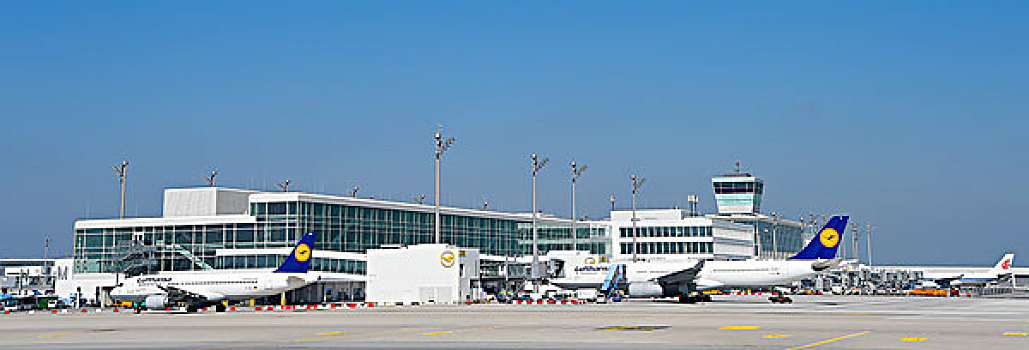 汉莎航空公司,空中客车,卫星,航站楼,慕尼黑,巴伐利亚,机场,德国,欧洲