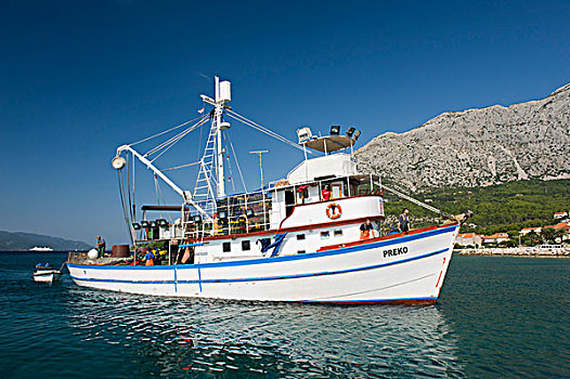 捕鱼,船,进入,港口,半岛,达尔马提亚,克罗地亚,欧洲