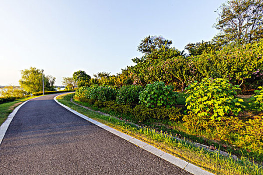 道路