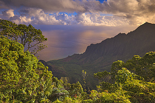 悬崖,海边,州立公园,卡拉拉乌谷,纳帕利海岸,考艾岛,夏威夷,美国