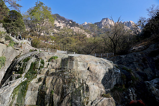 泰山景观