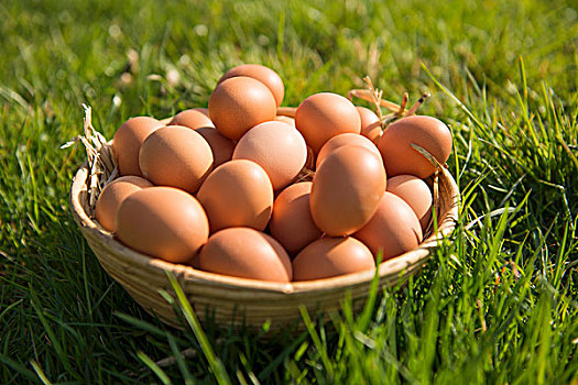 褐色,鸡蛋,篮子,地点