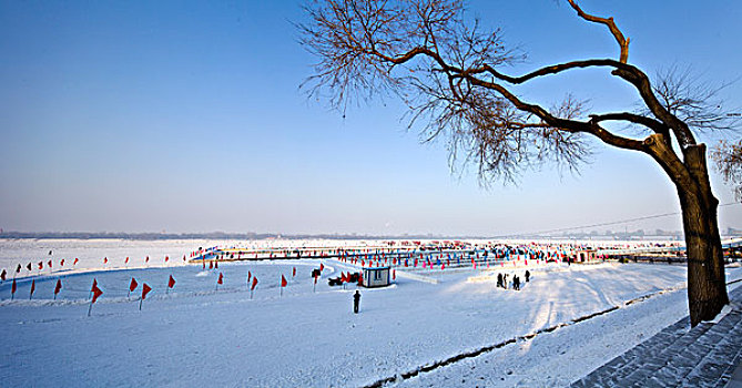 松花江,冰雪,冬,城市,景观,黑龙江,哈尔滨